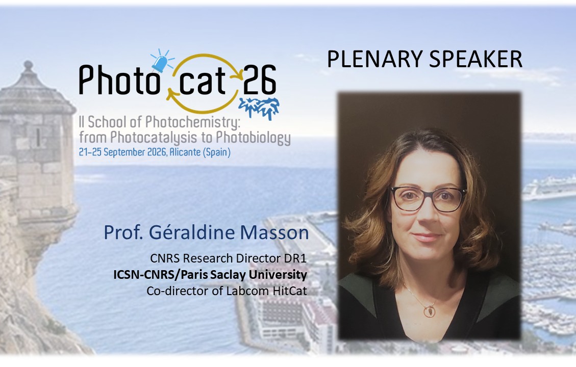 Photocat26 tweet media