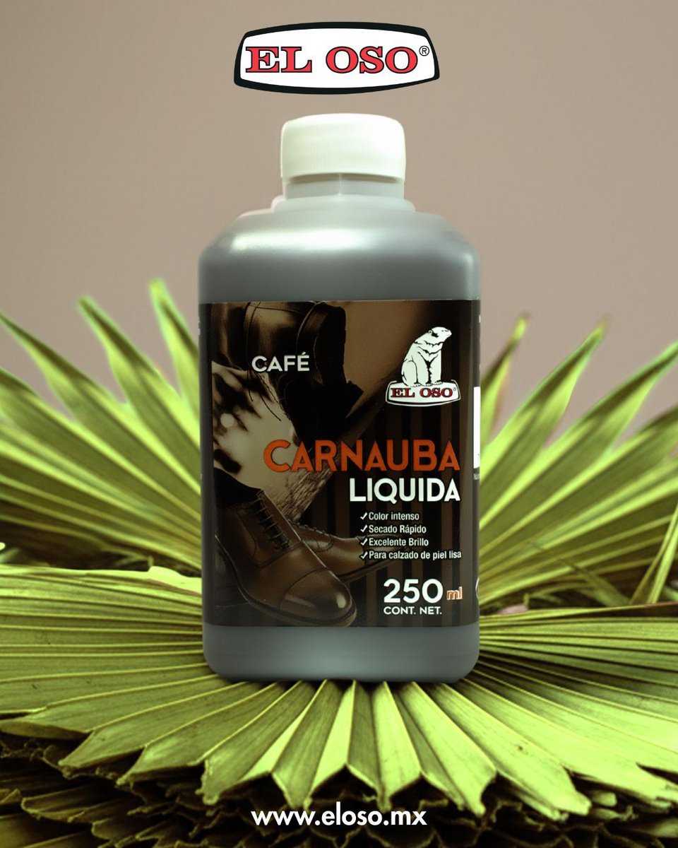 🌴La Carnauba es una cera vegetal obtenida de las hojas de la palma Copernicia prunifera, nativa de Brasil, que realza el color, protege el cuero y deja un acabado uniforme que se ve y se siente.

🌐 Compra ahora en eloso.mx

#ElCuidadoTambiénEsAmor #ElOsoMX