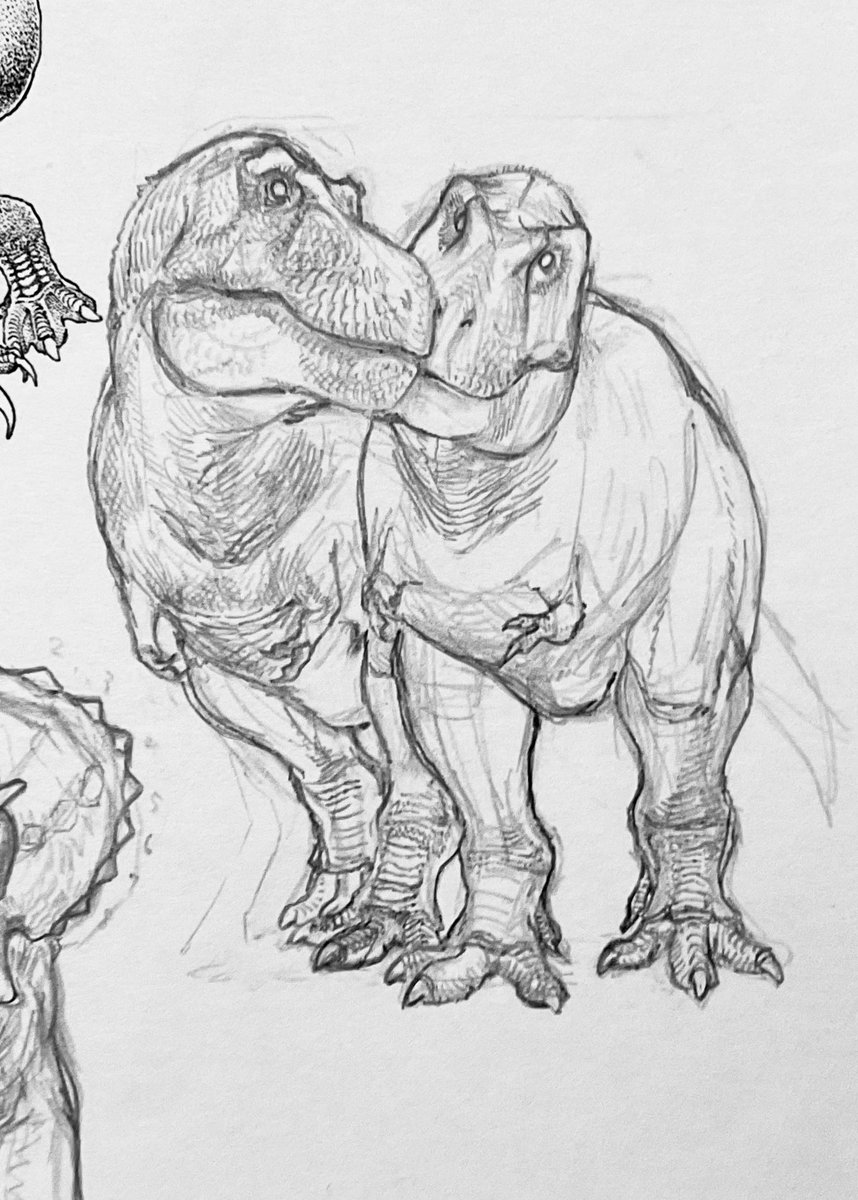 あむ🦧ドは動物のド tweet media