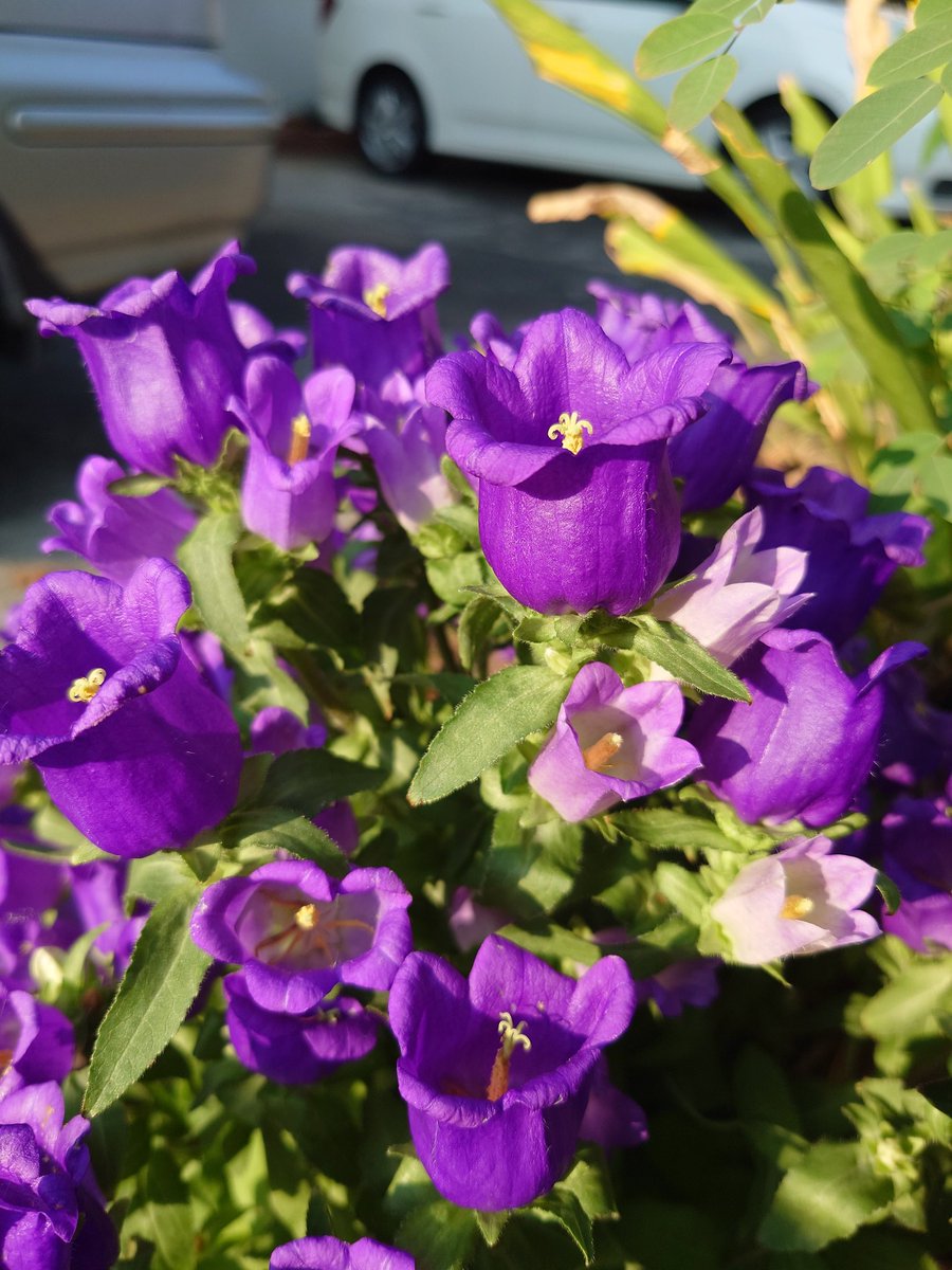 มาสักที สั่งไปตั้งแต่จันทร์ที่แล้ว