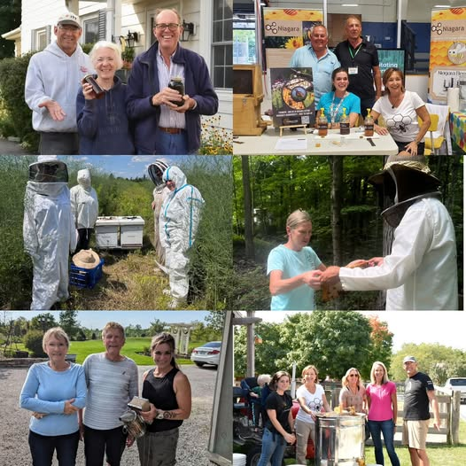 Niagara Bee tweet media