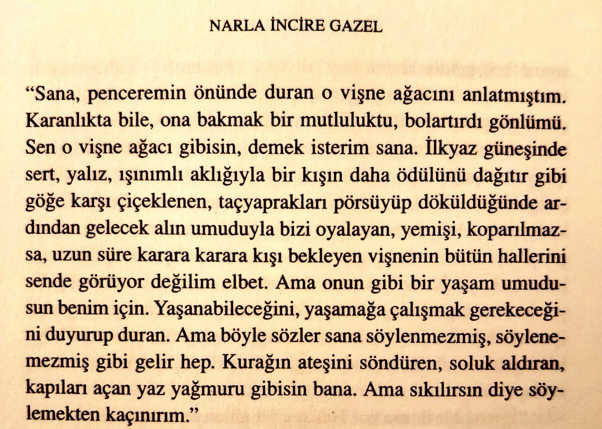“... bir yaşam umudusun benim için. yaşanabileceğini, yaşamağa çalışmak gerekeceğini duyurup duran.”

bilge karasu.