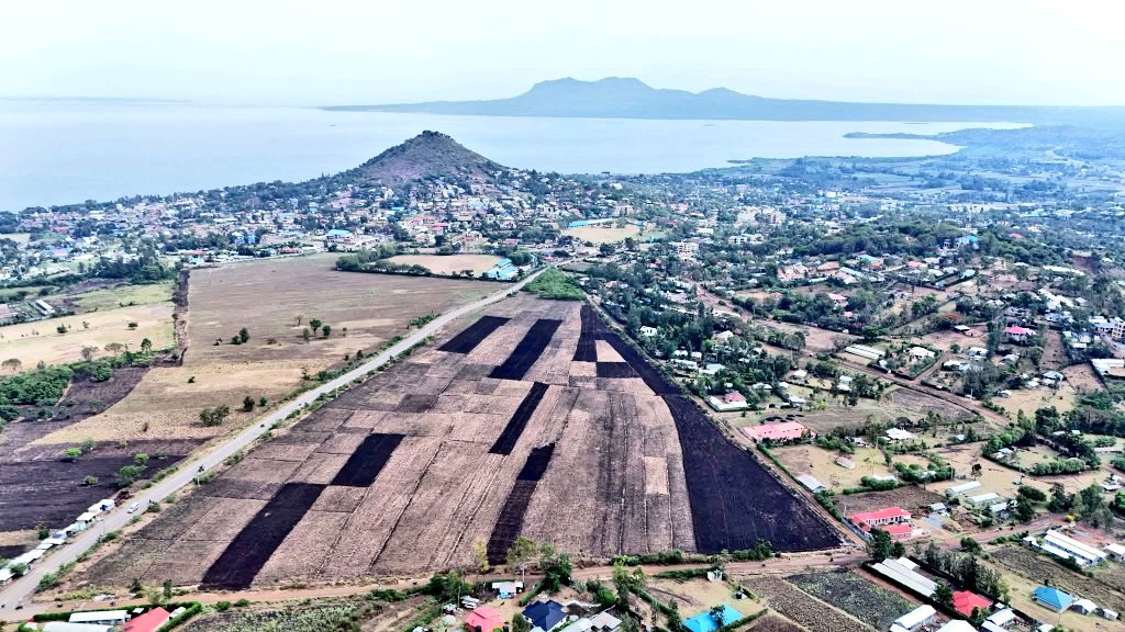 Kenya Urban Roads Authority (KURA) tweet media