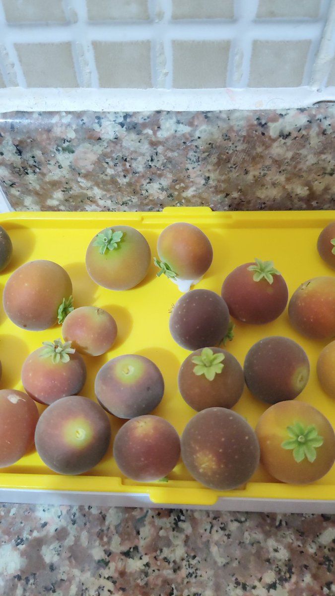 Creo que soy de las pocas que se los come bien maduros. 😍👍🏻