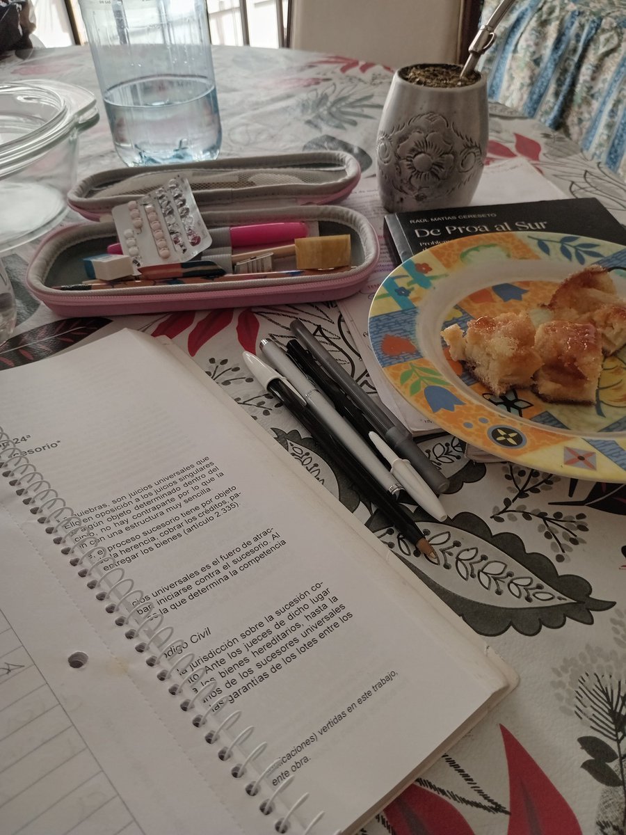 Y mientras estudio, también hay tiempo para mate y torta de manzana 🍏 que hice yo con mis propias manitas 🙌🏻