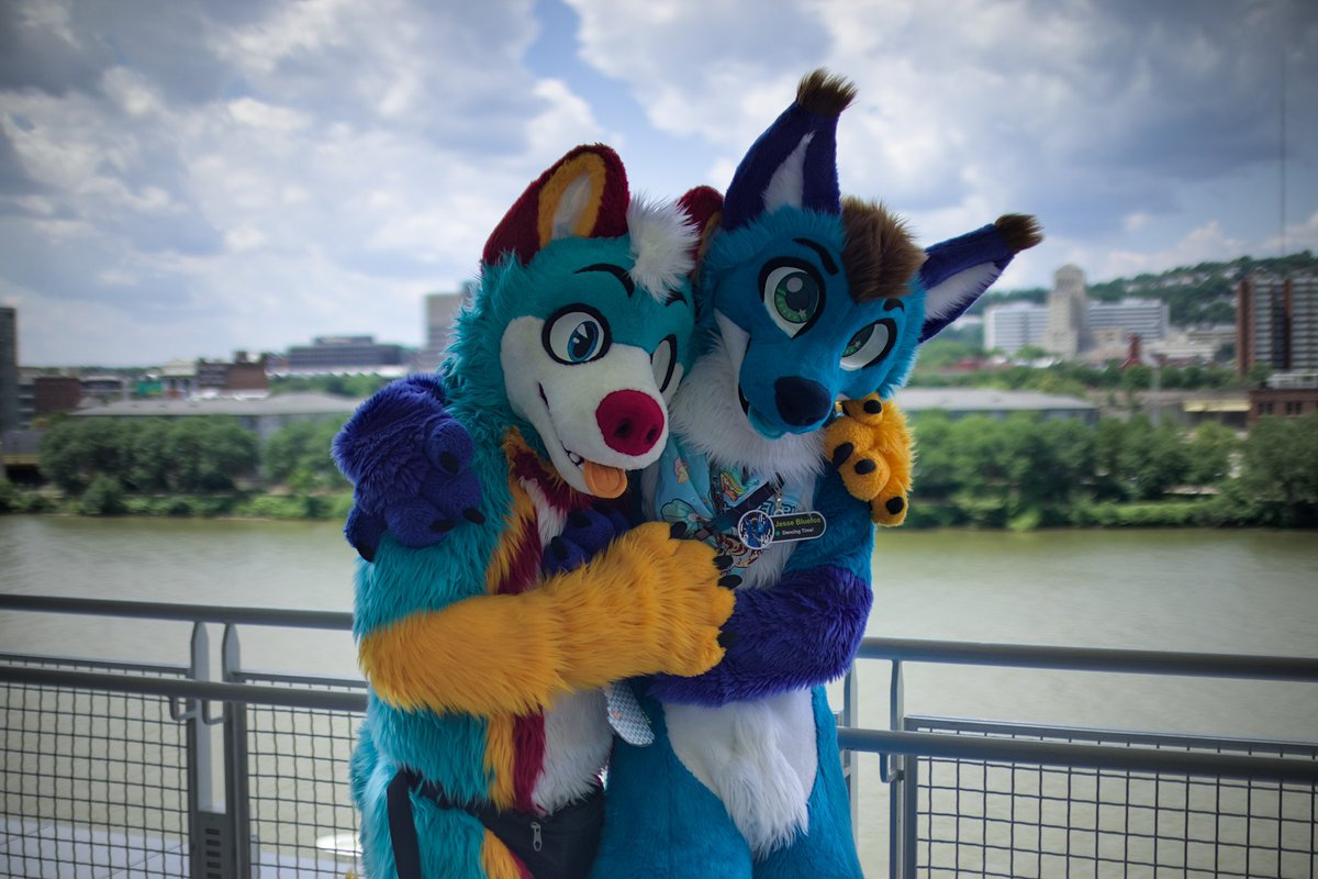 Maverick the Husky 🔜 BWS tweet media