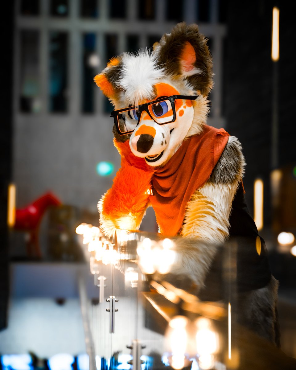 Baddy 🐾 tweet media