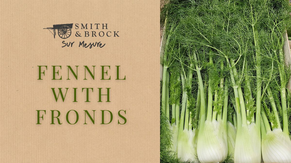SmithandBrock's tweet photo. These are delicate, frilly leaves that grow along tall stalks and can change in size, depending on the variety and maturity. Removed from the stalks and lightly torn, they can be added as a topping to specialty pizzas, pasta, sandwiches, in salads.

#fennelwithfronds #preordernow https://t.co/YiOyRFM6N5