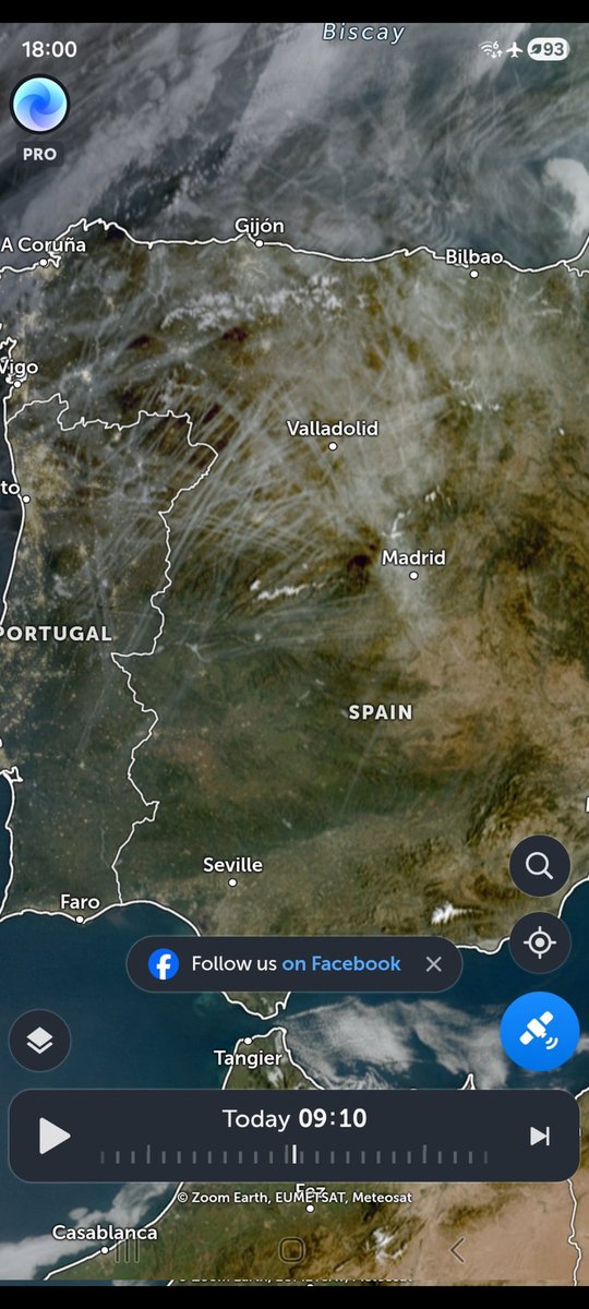 JéjéZippo 🌟 tweet media