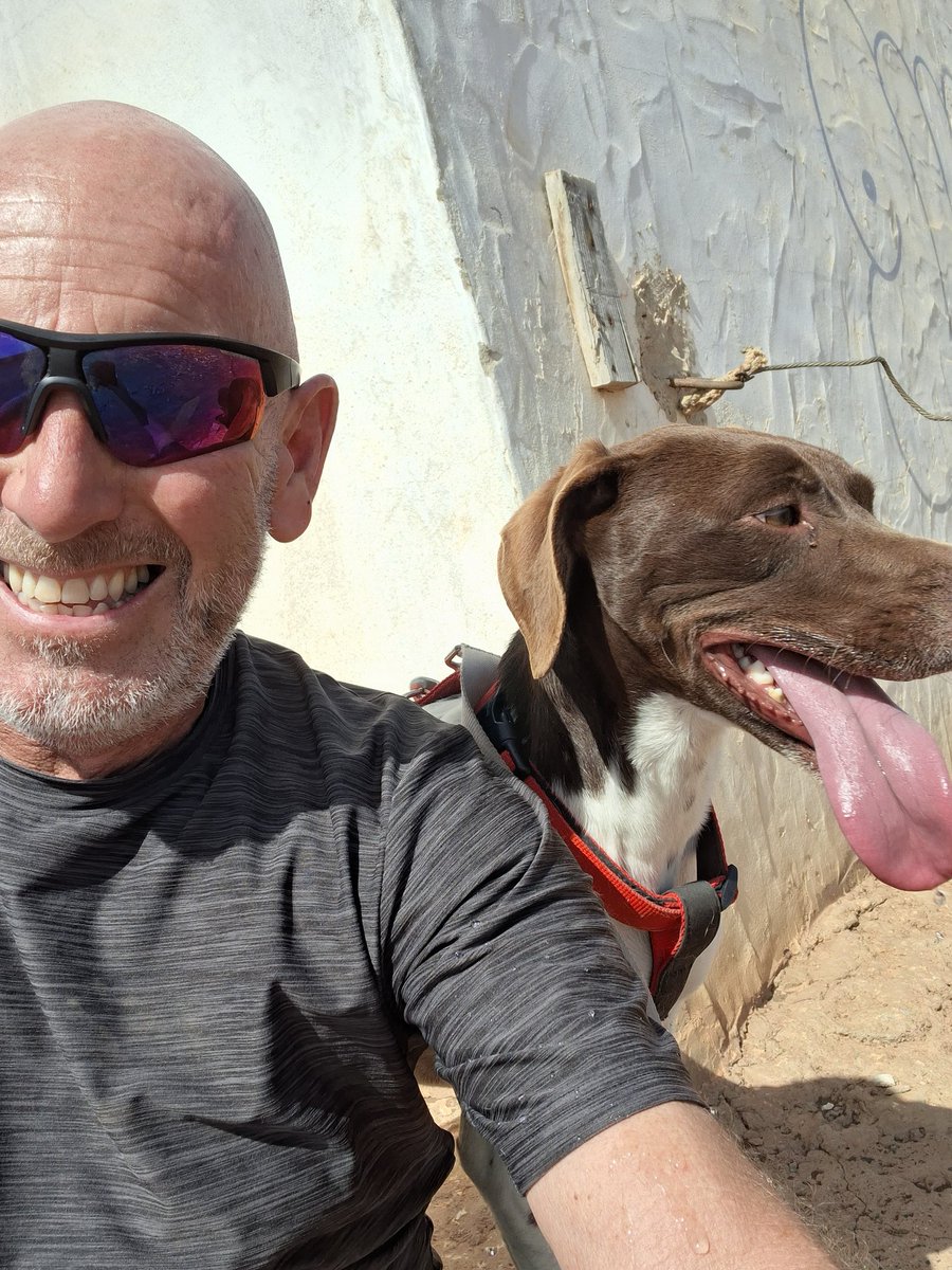 Canela having a rest 🐾