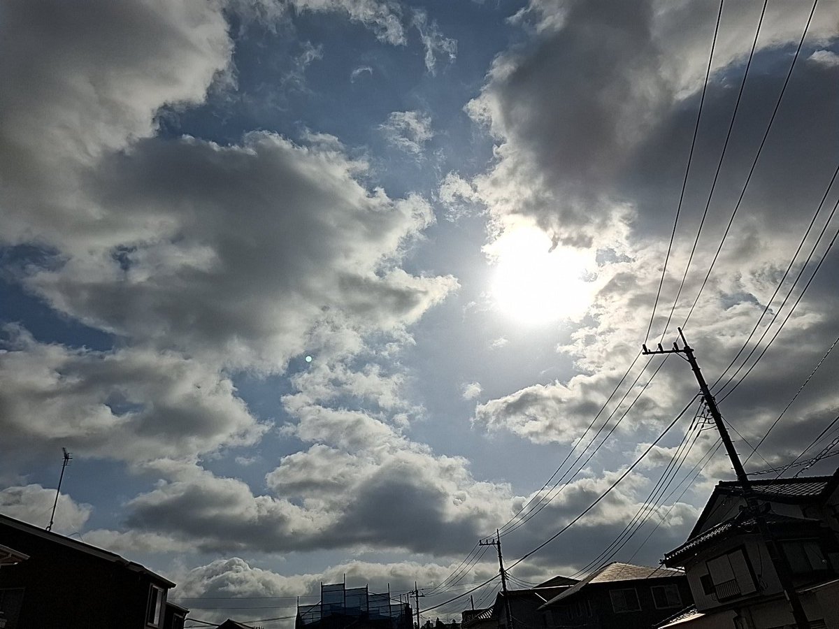 春一番が咲いた🎶