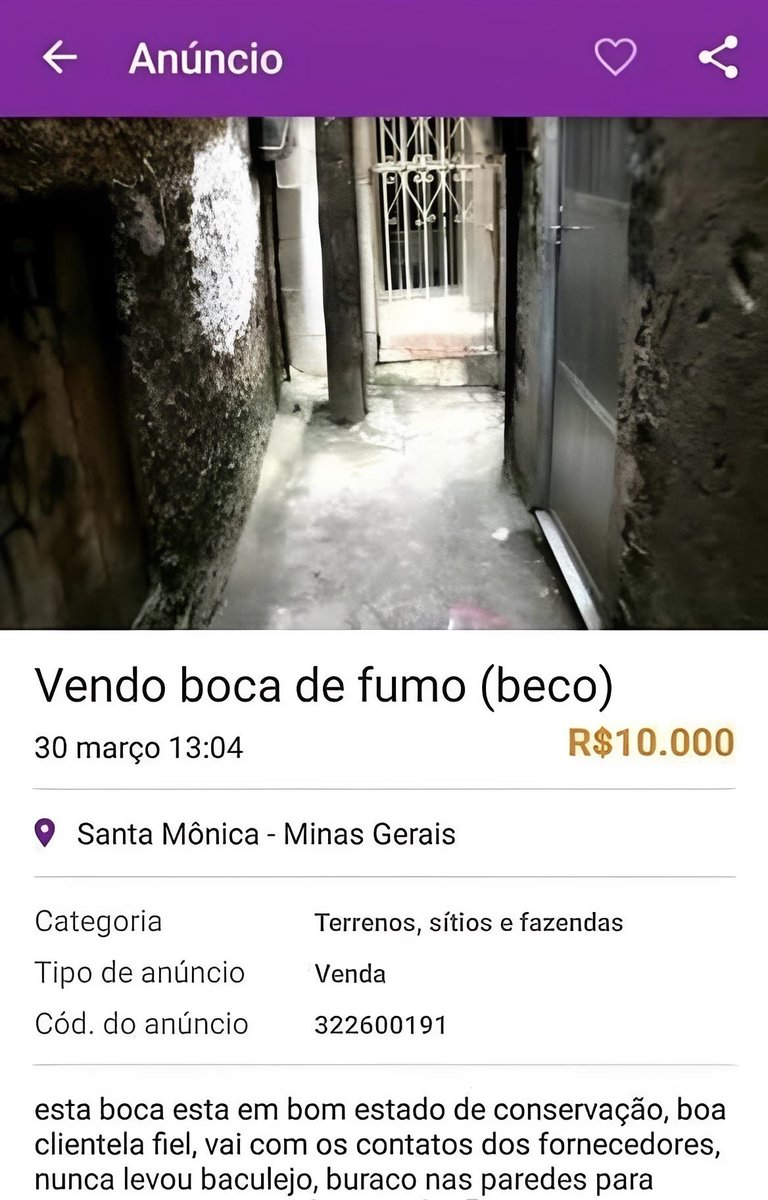 Anúncios estranhos tweet media