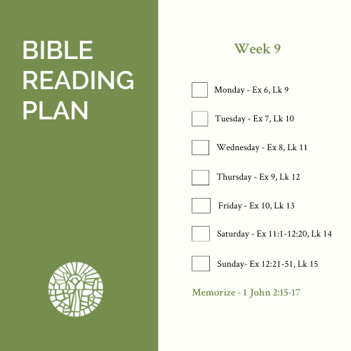 Fairview Baptist Church tweet media