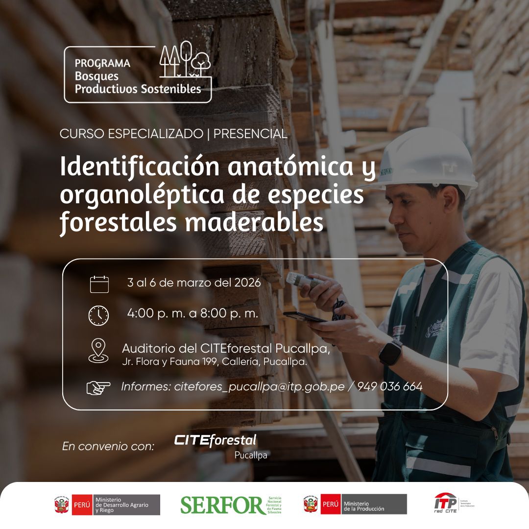 CITEforestal's tweet photo. 🔎🌳 ¿Reconoces las especies forestales con las que trabajas?🧐
👩🏻‍🔬Mejora tus habilidades para identificar especies maderables a través de la anatomía y características organolépticas y macroscópicas de la madera.🪵

👉 Inscríbete aquí: https://t.co/lKIO2DEB3u
Curso gratuito https://t.co/RzYvvc6dhF