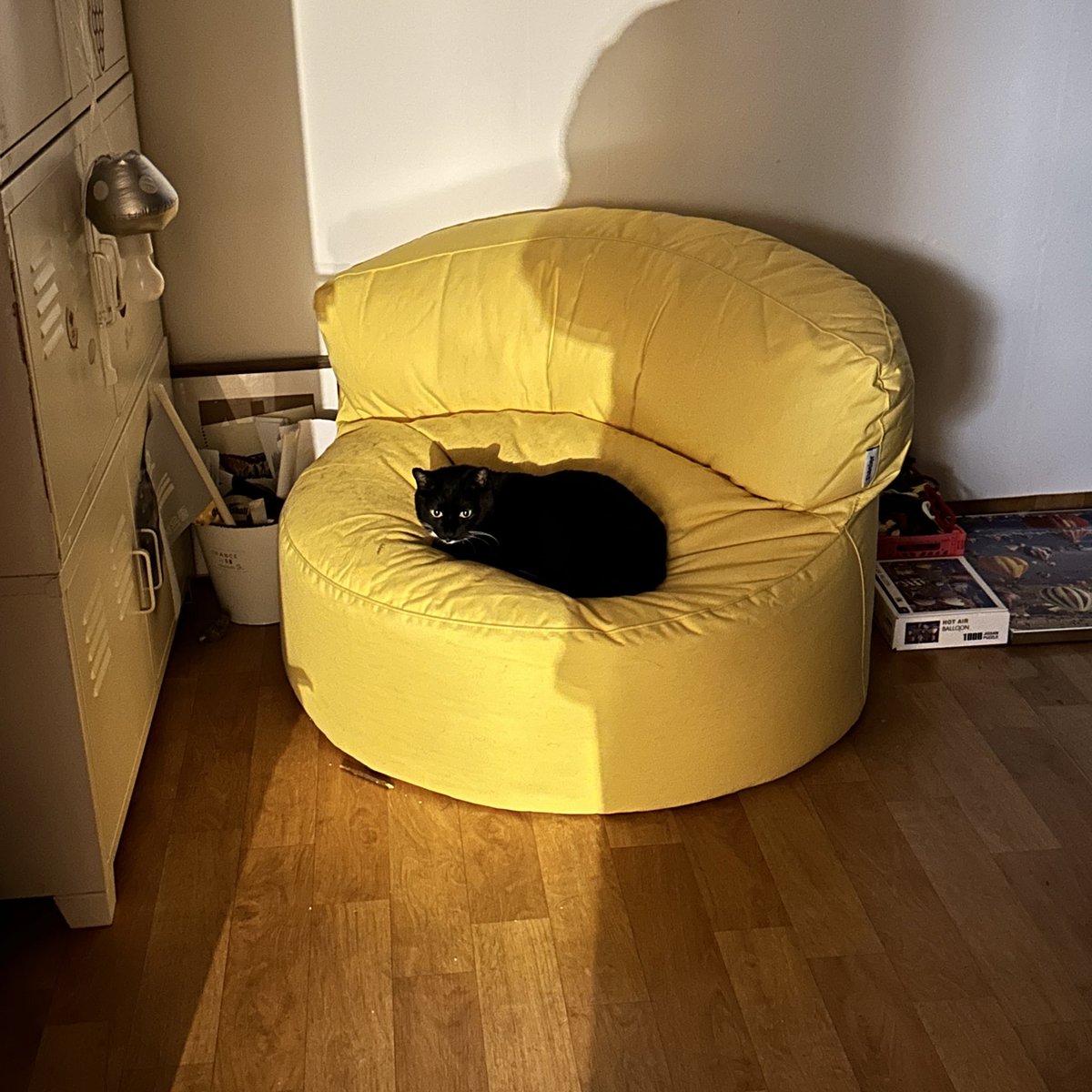 가족찾는 궁이🖤 tweet media