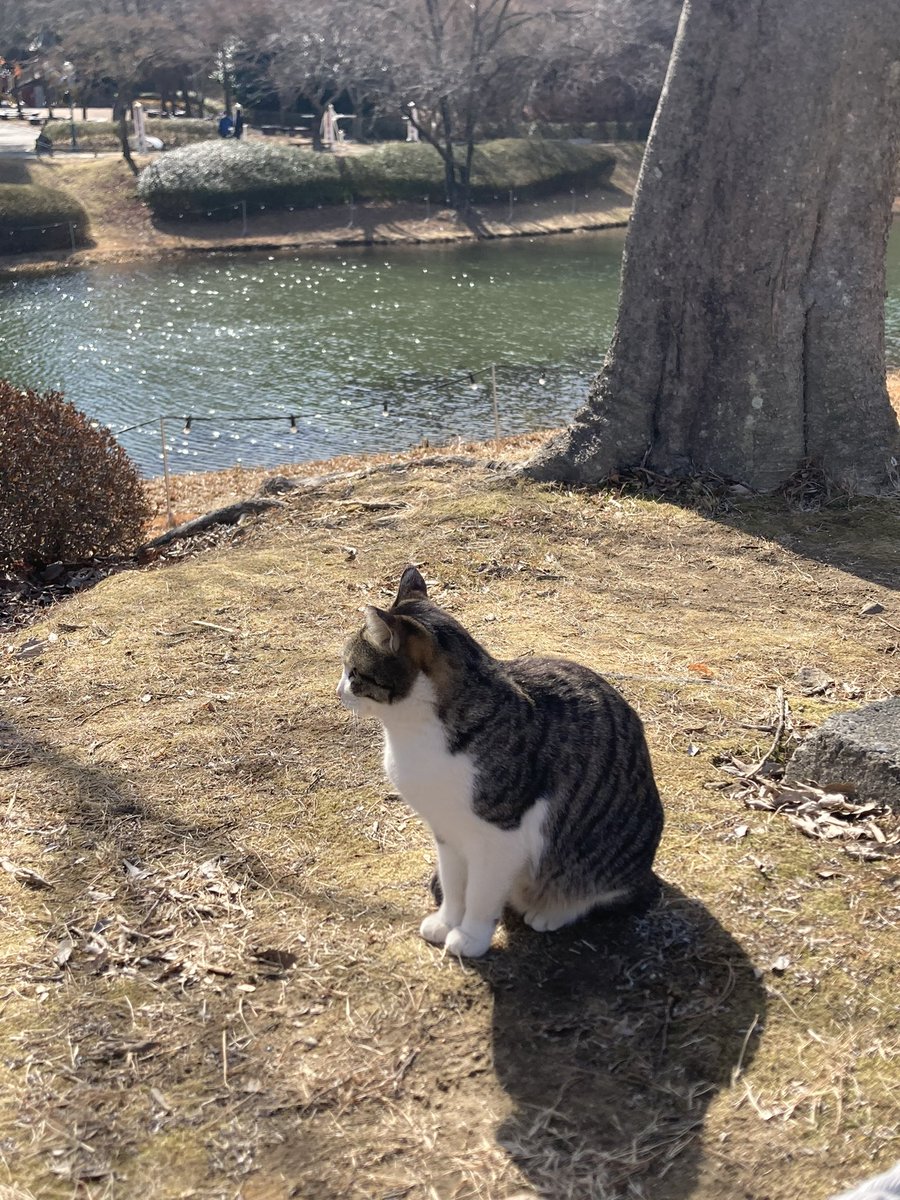 bxz0j7's tweet image. 산책하다 만난 기염둥이들 공유✨