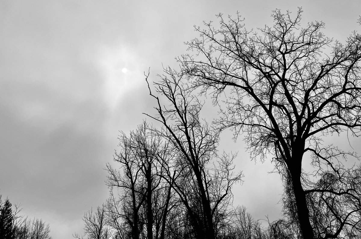 Certainly I have
Biases, but at least they
Were freely chosen