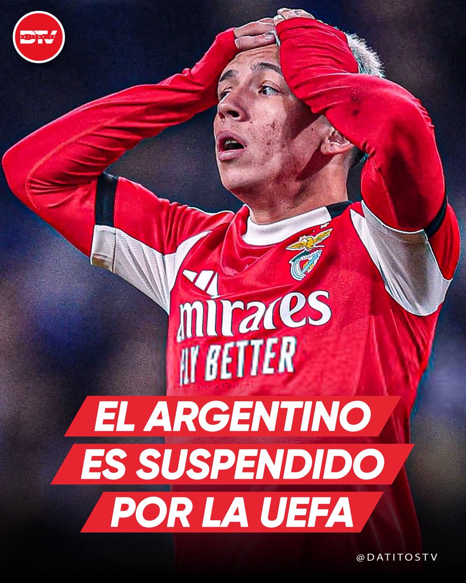 Datitos TV tweet media