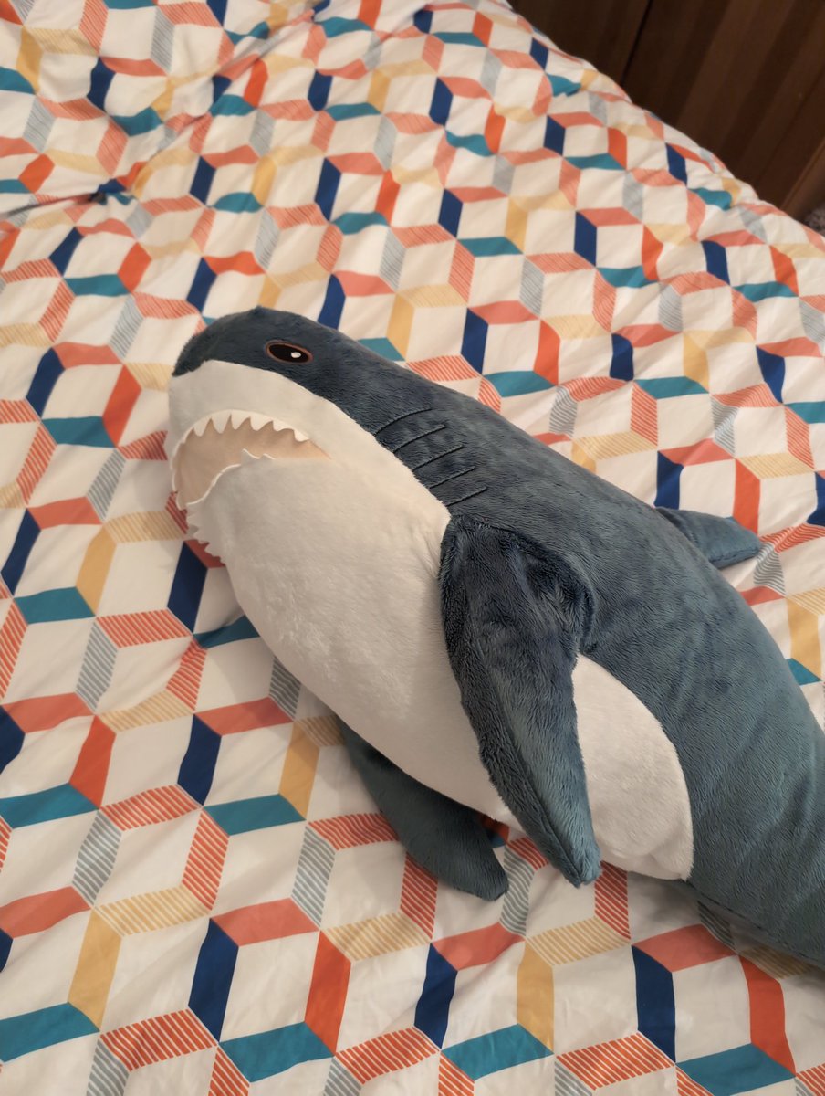 Snuudles tweet media