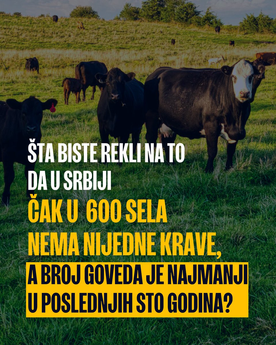 Naša zemlja je izgubila samostalnost u proizvodnji mleka i mesa, navodi Branislav Gulan i dodaje da srpska poljoprivreda praktično pred kolapsom i da su protesti poljoprivrednika posledica dugogodišnje loše politike. 

Iako se proizvede dosta mleka, veliki deo ide u sivu zonu,