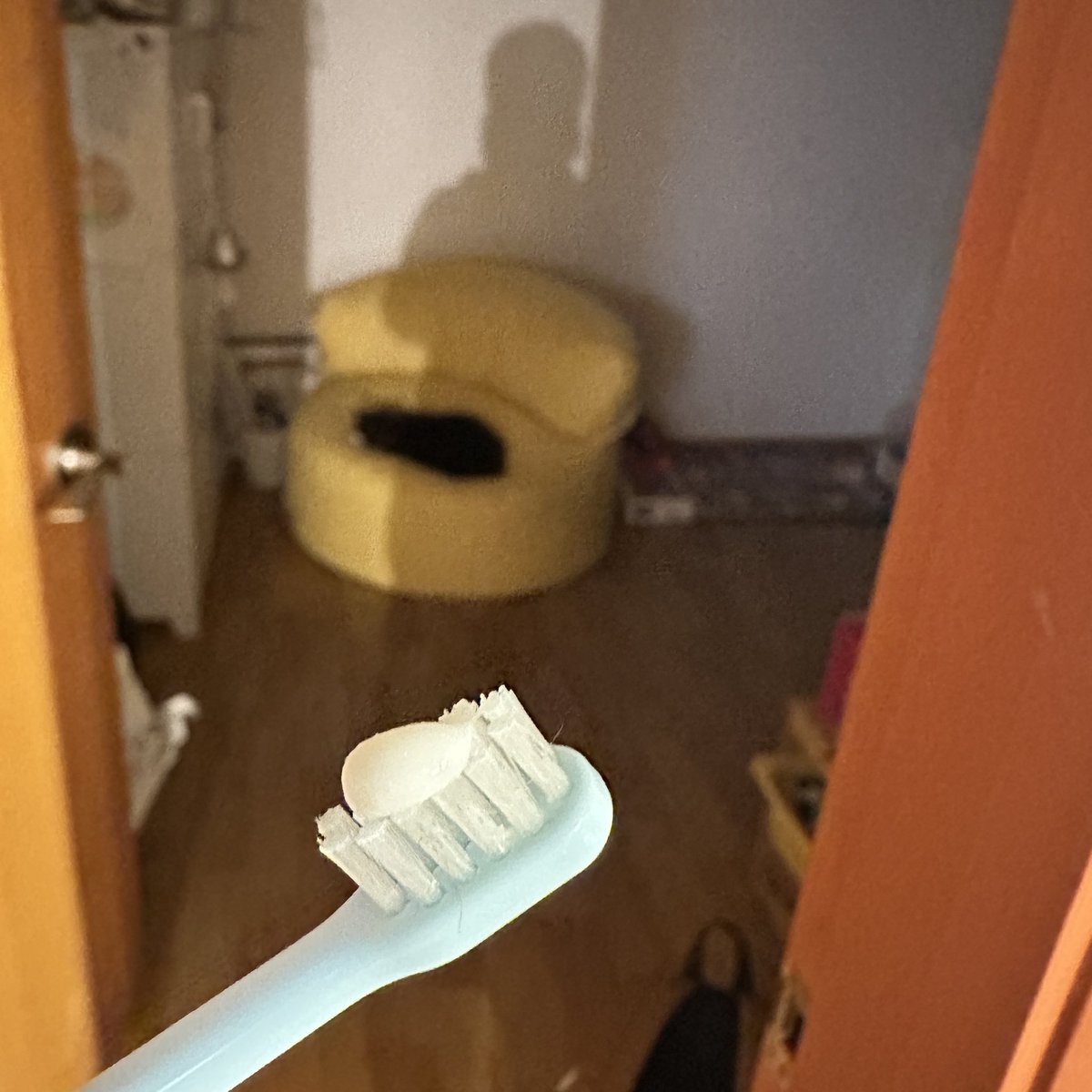 김아누 tweet media