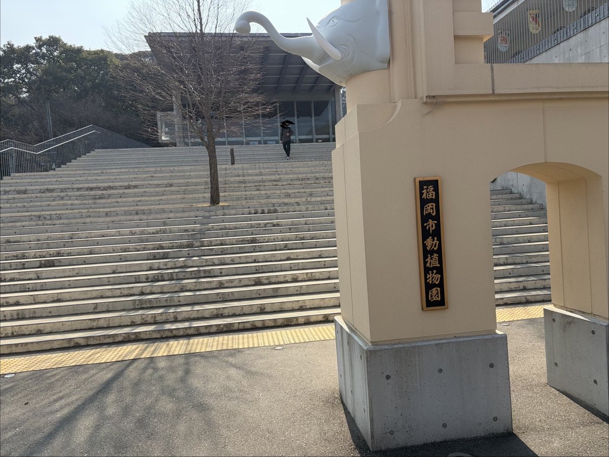 天野アマゾネス tweet media