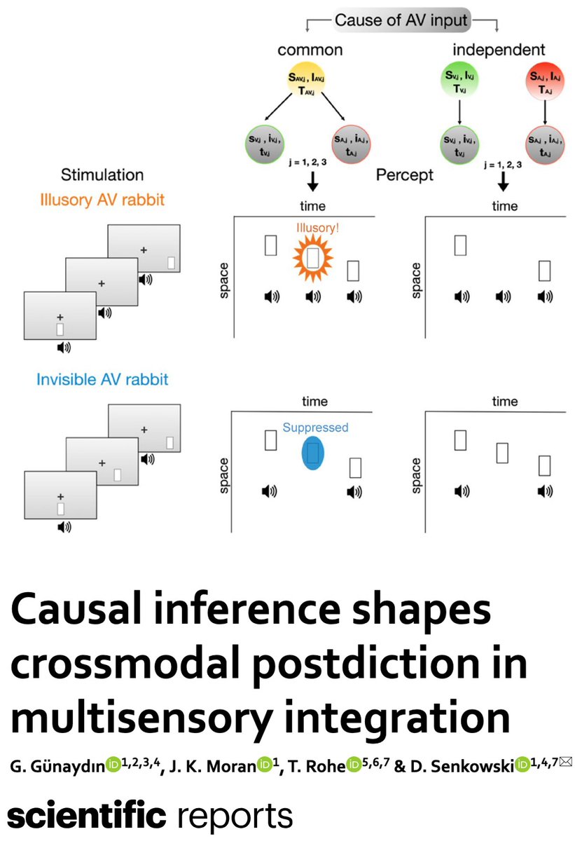 Daniel Senkowski tweet media