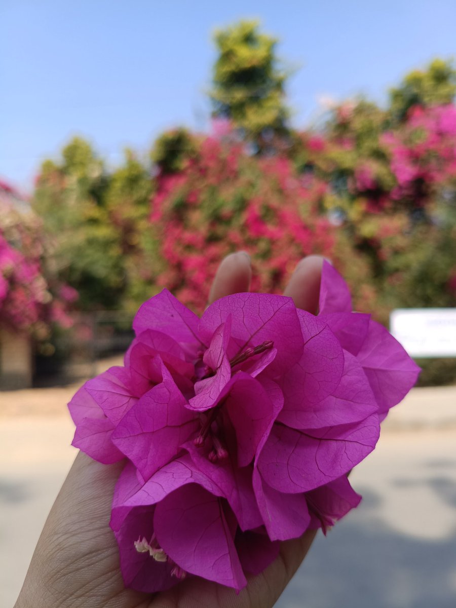 I really love this season