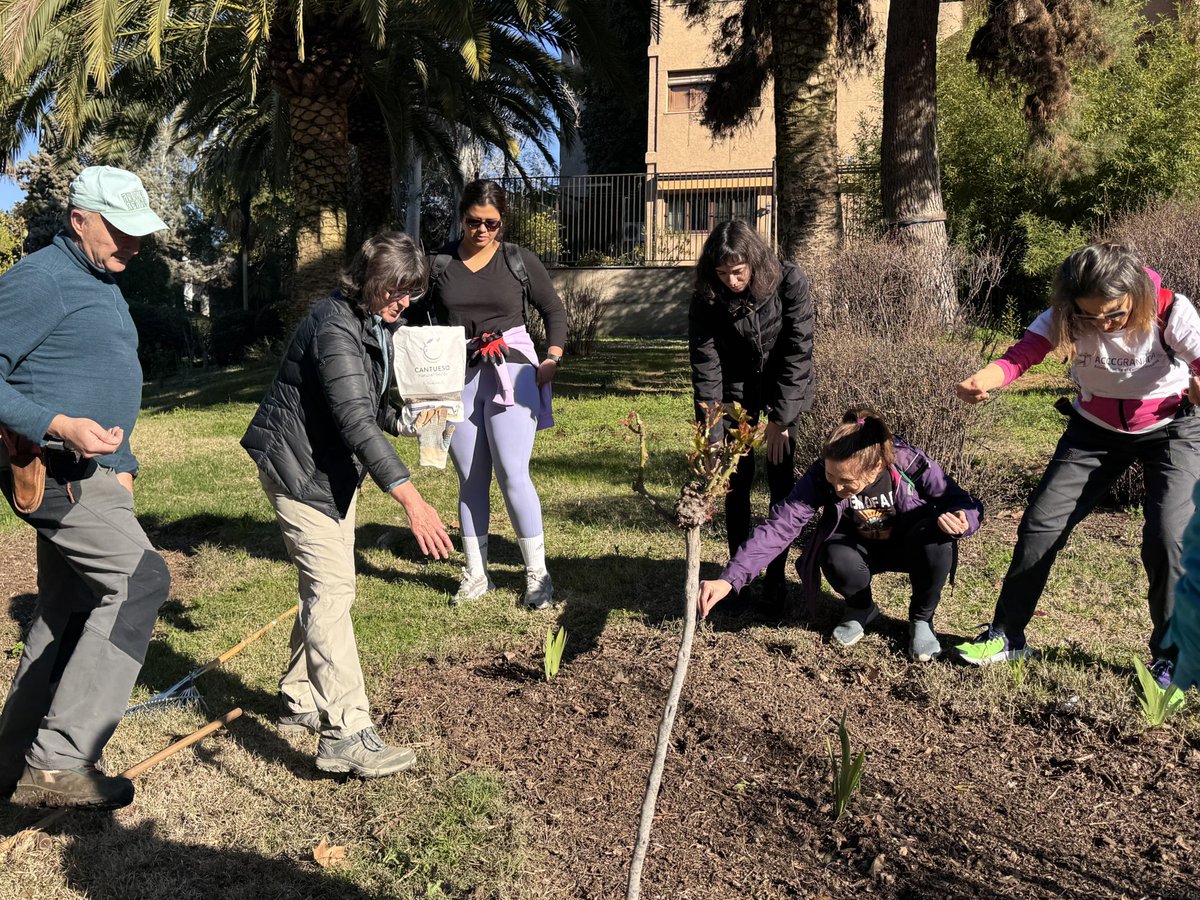 ViceInfraSosUGR's tweet photo. 🌳 Mejor calidad del aire, temperaturas más agradables, impacto en la fauna 🪲

👷‍♀️ Ya en marcha el plan de revegetación de alcorques en los espacios verdes de la #UGR

🤝 En colaboración con @ACCCGranada0 

💻 Noticia: https://t.co/ABdddpCxz8 https://t.co/DdIENhayvS