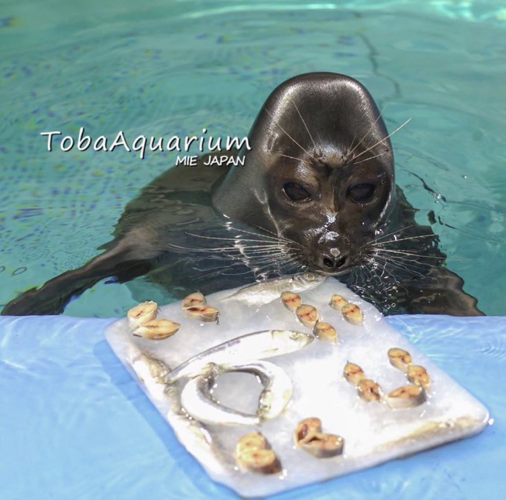 Computerlings (.gg/computerlings) tweet media