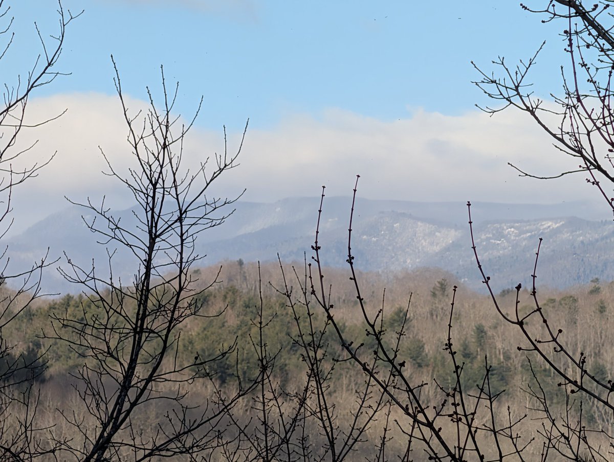 Jeff McDaris tweet media