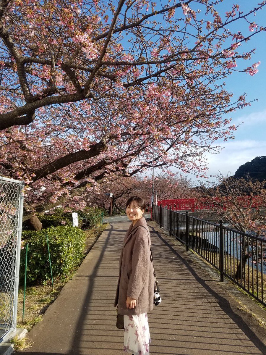pag0820's tweet photo. 河津桜まつりが始まる前日に。素敵な思い出を1つずつ... https://t.co/mJw1RVEmYR