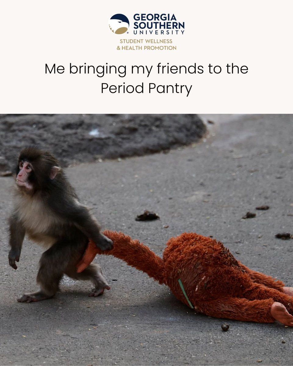 GS Student Wellness & Health Promotion tweet media