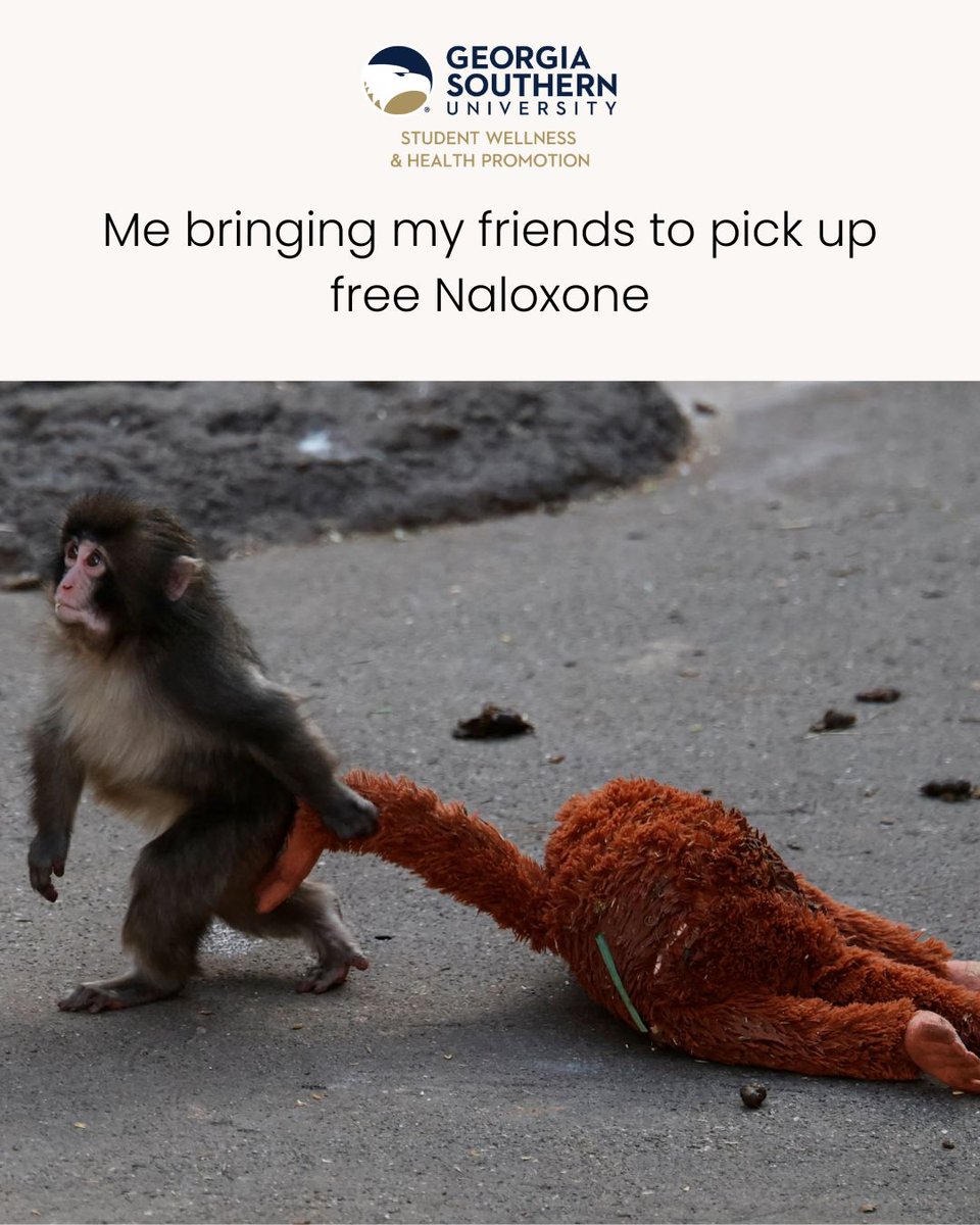 GS Student Wellness & Health Promotion tweet media