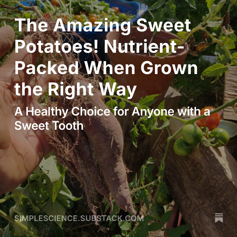 Ray Armat, Ph.D. tweet media