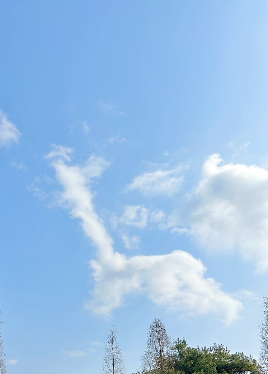 onhwalife's tweet image. 기린 구름🦒☁️
기린 달리는 중 ••