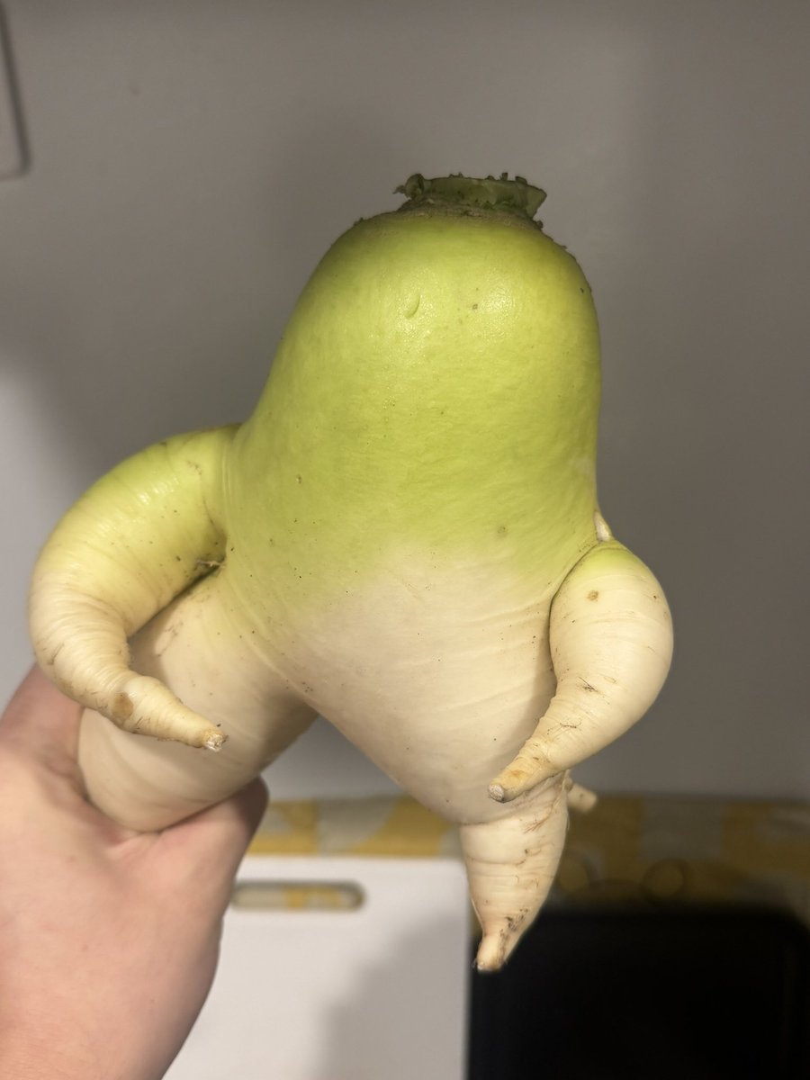 よーにゃん tweet media