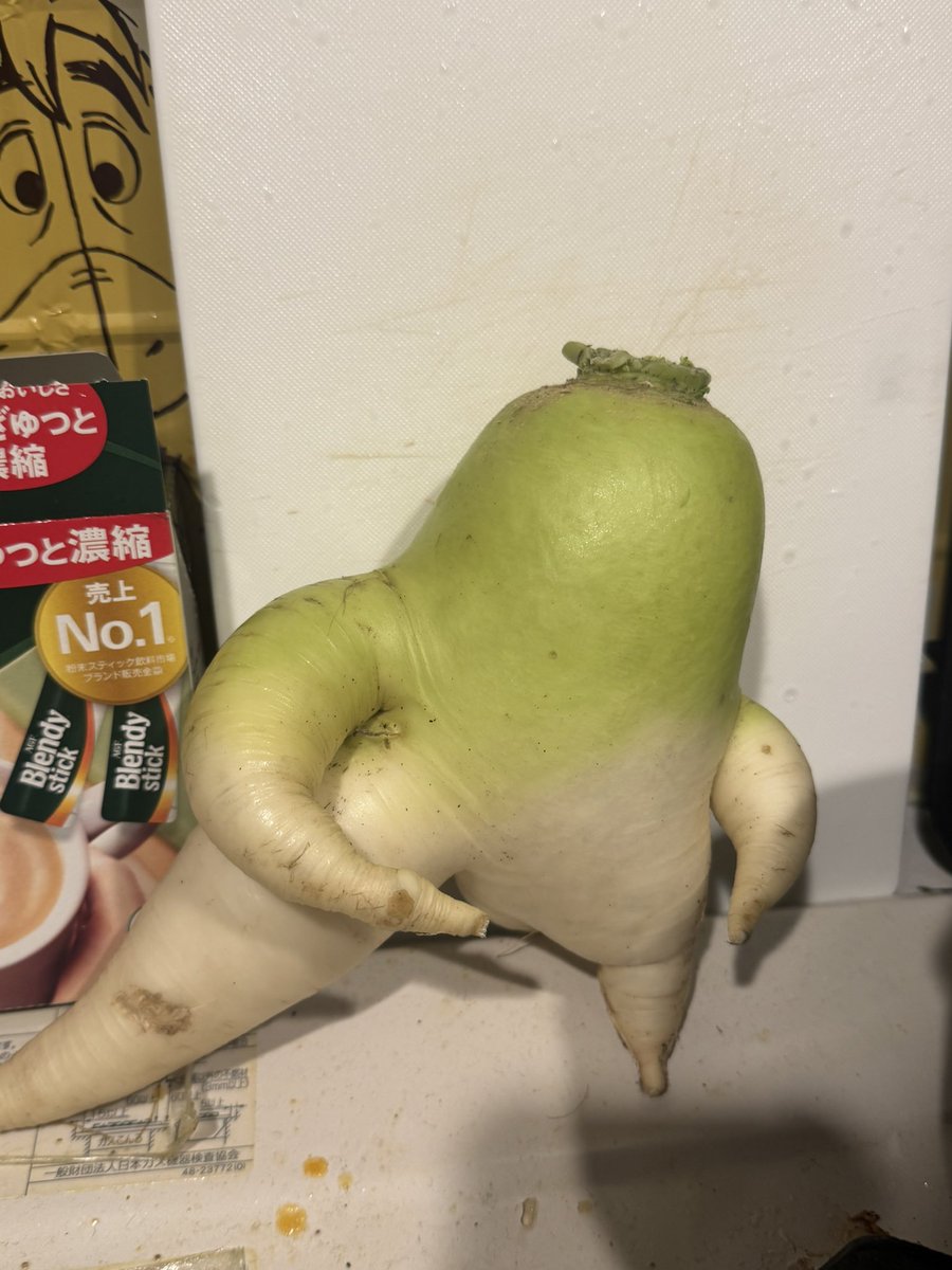 よーにゃん tweet media