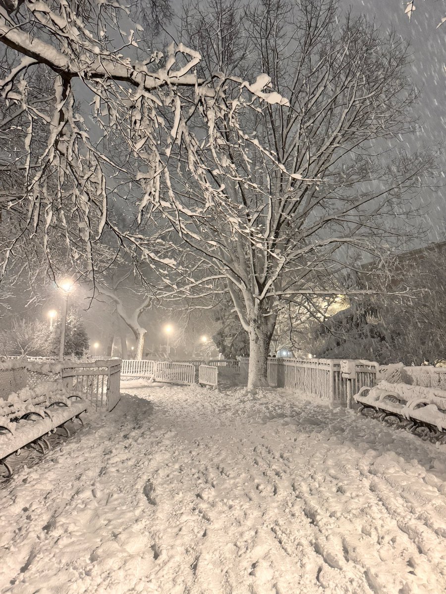 Mitul Shah tweet media