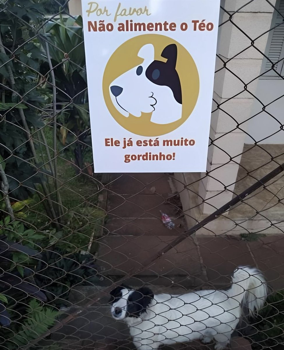 Anúncios estranhos (@anuncioestranho) on Twitter photo 