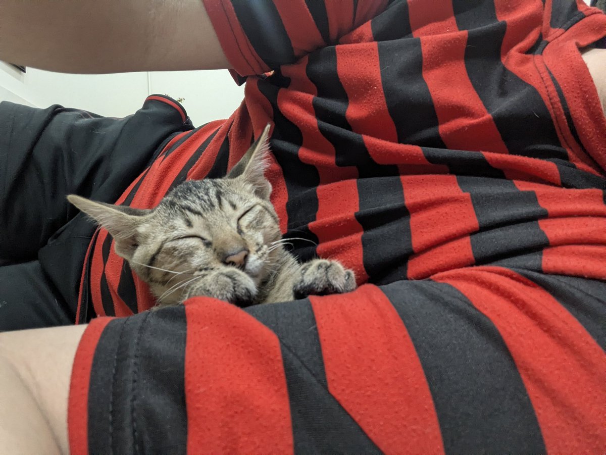 Rosslatch tweet media