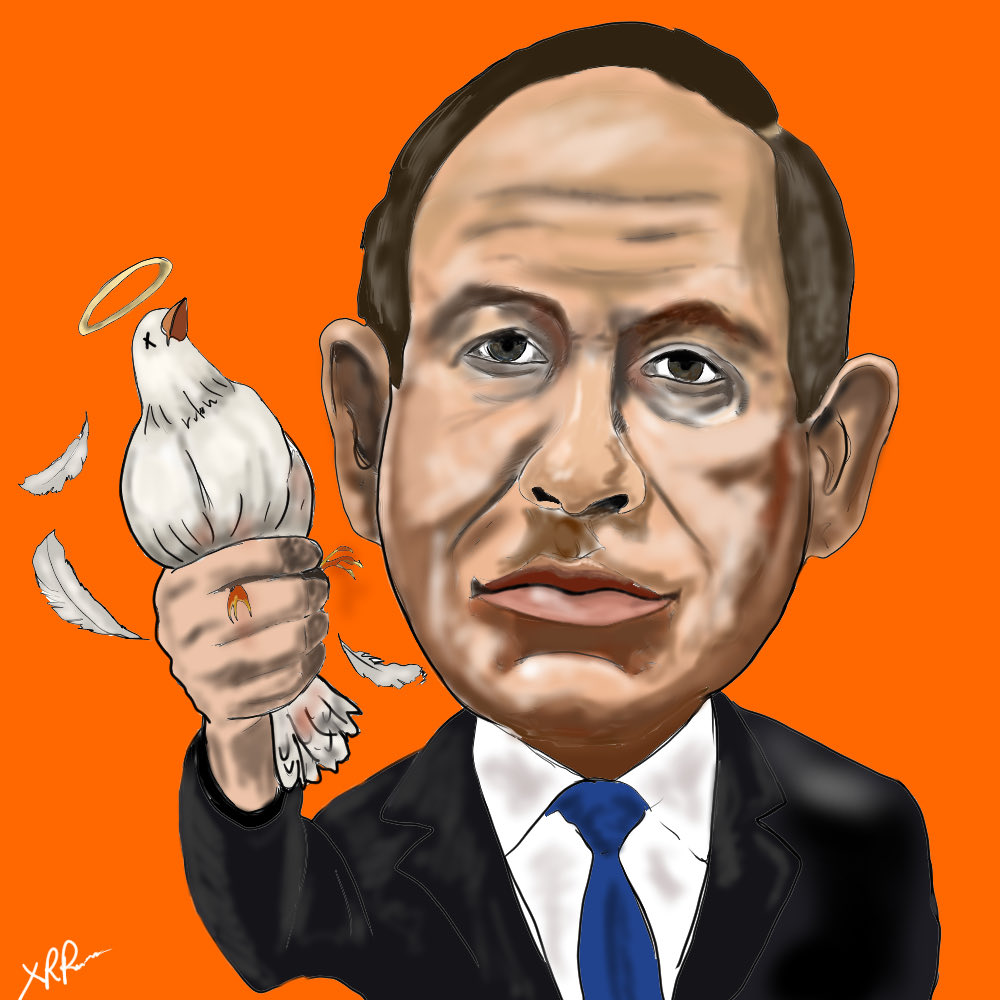 XRPicasso 🎨 tweet media