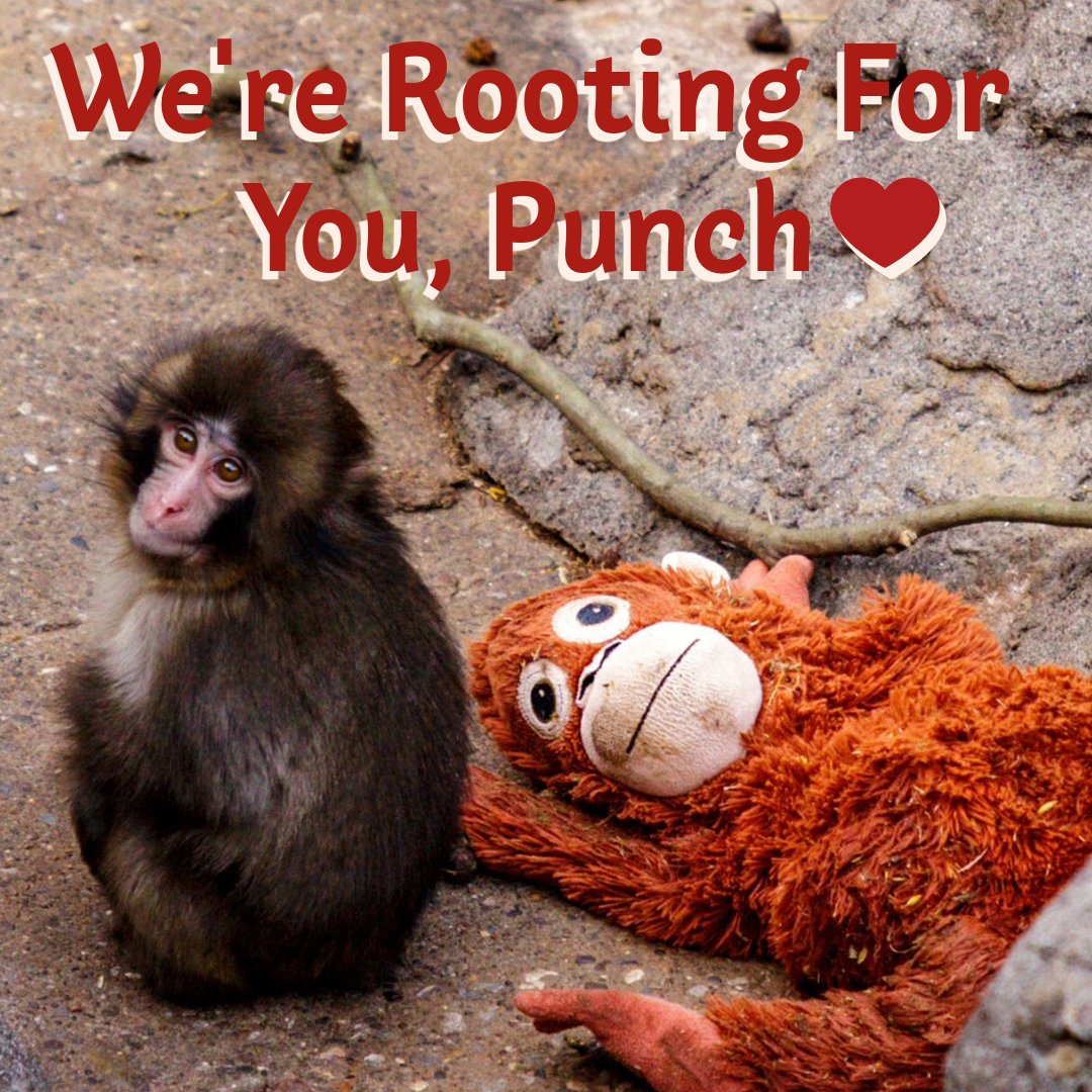 STLPartnership tweet media