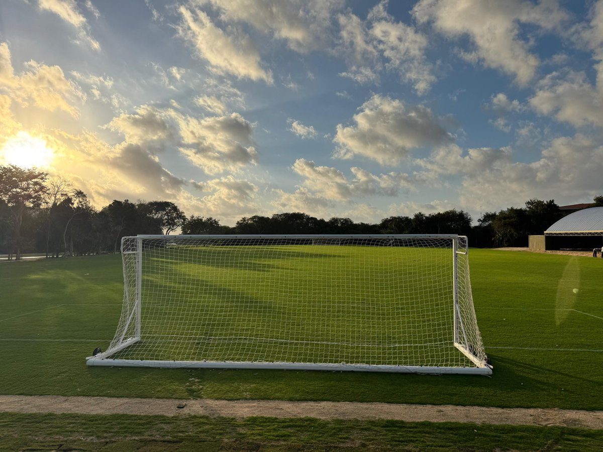 World Sports USA - Turf Experts tweet media