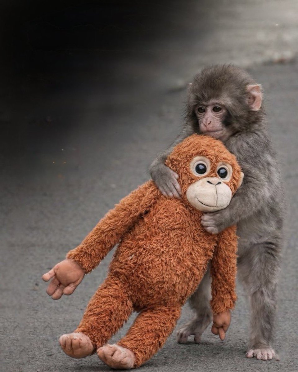 Prime Tate tweet media