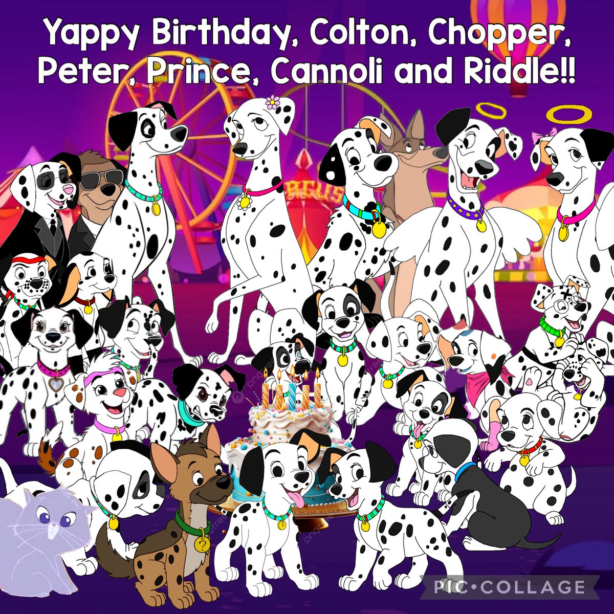 🐶Cₕᵣᵢₛ Dₐₗₘₐₜᵢₐₙ🐶 tweet media