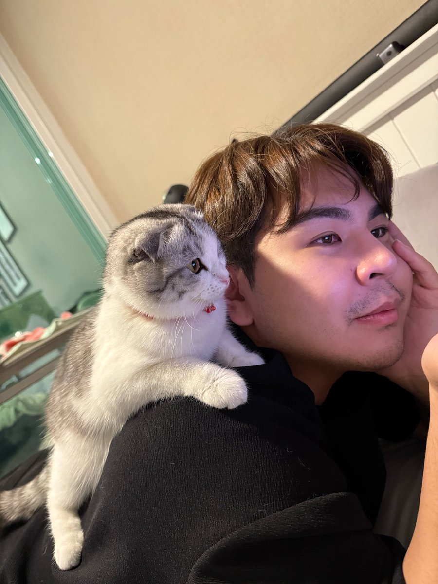 theBSTZZ's tweet photo. ทุกวันนี้ไม่ค่อยอยากจะถ่ายรูปลง จากหมีกลายพันธุ์เป็นหมู 🥲
แต่เอาหน่ะ มีลูกสาว มีความสุข ชีวิตคู่แฮปปี้
ลดน้ำหนักก็ค่อยตามมาละกัน 💖 https://t.co/qSvHNtuPoo
