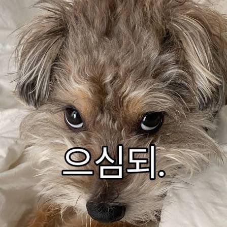 체리슈🍒 (@iloveuugr) on Twitter photo 