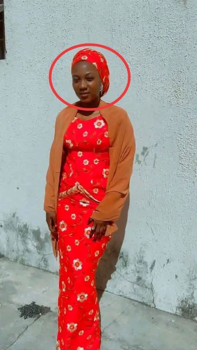 $ULTAN☠️𝕏 tweet media