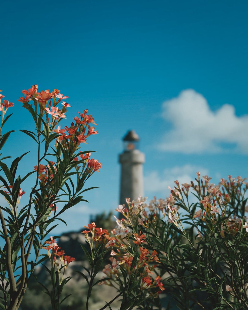 Saskia's.photo.World tweet media